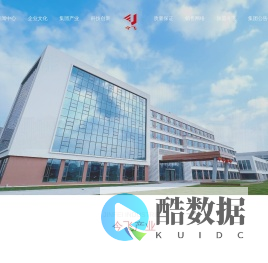 今飞控股集团有限公司