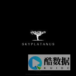 Sky Platanus Interactive | 天桐互动