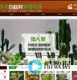 仙人球,仙人掌,晓阳家仙人掌_泊头市白赵村家庭农场