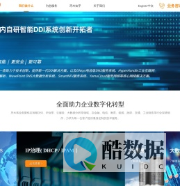 智能DNS设备_HttpDNS域名解析设备_IP地址管理_DDI厂家-牙木科技