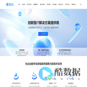 APP开发_小程序开发_软件开发_AI开发-雄安智鑫科技公司