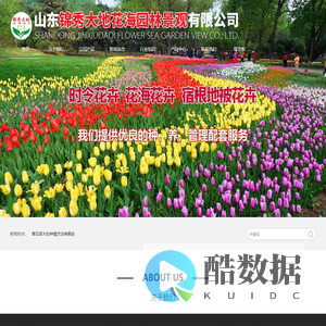 花海建设_花海苗木_马鞭草苗_花海专用花卉穴盘苗_菊花租摆_山东锦秀大地花海园林景观有限公司