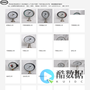 青岛科奥仪表制造有限公司