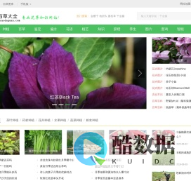 植物百科_百草大全