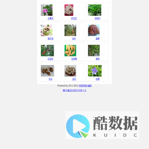 中药药用价值网