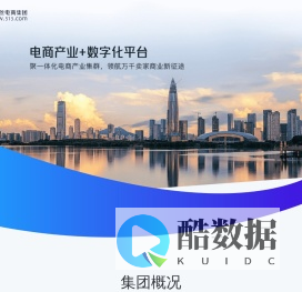 伍壹叁电商集团