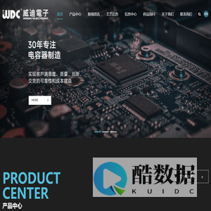 威迪电子（东莞）有限公司