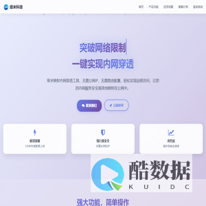 级米映射 - 内网穿透专家