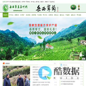 岳西翠兰茶叶网