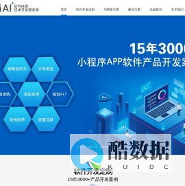 智肯AI,杭州软件外包，小程序开发，电商平台开发