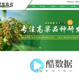 黑龙江省讷河市惠龙农业科技开发有限公司丨惠龙农业丨高粱丨糯高粱丨高粱种子丨糯高粱种子