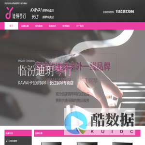 临汾市迪玥琴行有限公司