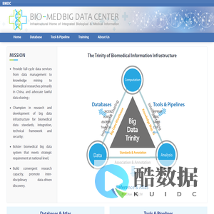 BigData Website