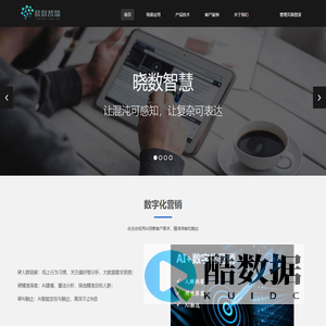 晓数智慧-用AI感知数字世界