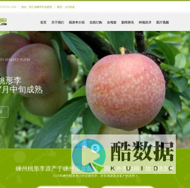 嵊州桃形李 WWW.SZTXL.COM - 桃形李|购买桃形李|嵊州桃形李网店|金庭桃形李|嵊县桃形李|羲之牌桃形李|书圣王羲之|浙江绍兴嵊州金庭镇桃形李种植户