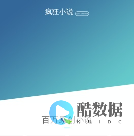 疯狂小说