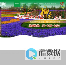 青州神禾苗木种植有限公司,薰衣草,月季,金叶女贞