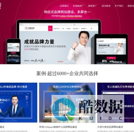 品牌网站建设