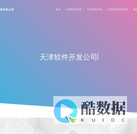 天津软件外包公司