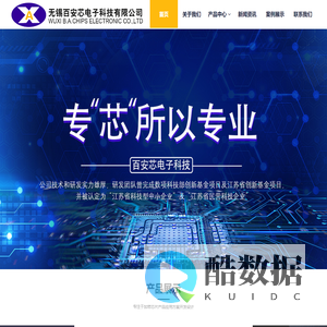无锡百安芯电子科技有限公司