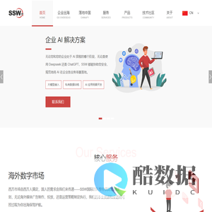 SSW智鹏瑞尔软件