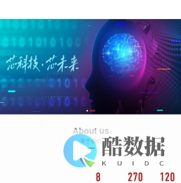 天津华慧芯科技集团有限公司