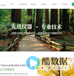 广东飘之绿名木古树保护有限公司,名木古树保护_名木古树抢救复壮_古树移栽迁移-飘之绿名木古树保护
