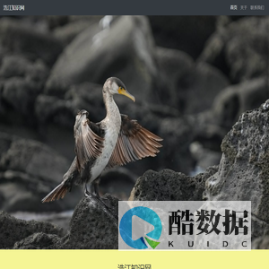 浩江知识网