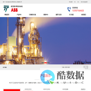 武汉楚兴青活自动化工程有限公司