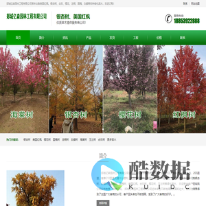 银杏树-银杏树基地-美国红枫-美国红枫基地-银杏树厂家-郯城亿森园林工程有限公司