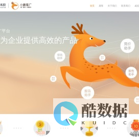 九维网络