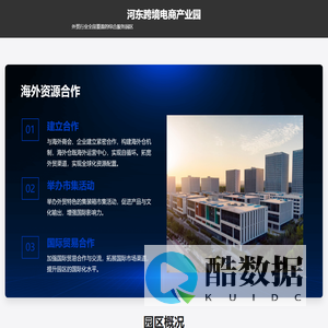 河东区跨境电商官网