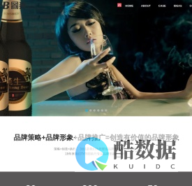 深圳TVB图狼品牌形象设计