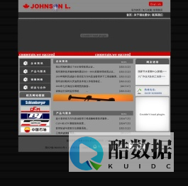 强生爱尔石油科技有限公司
