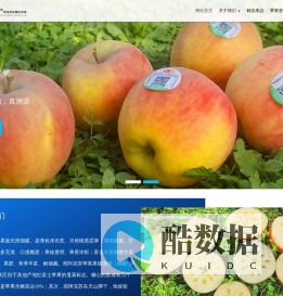 阿克苏苹果一件代发_冰糖心苹果批发代理_新疆丝路甜心官网
