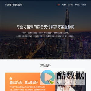 平安付电子支付有限公司