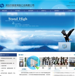 深圳市联胜保险公估有限公司