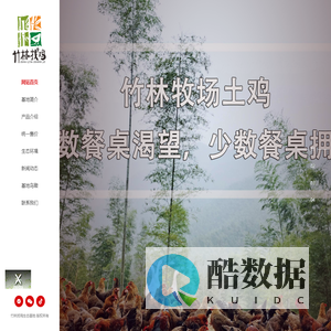 竹林找鸡-竹林生态散养土鸡