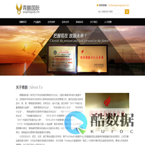 湖南青鹏国际信息科技有限公司