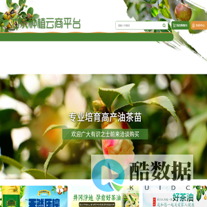 油茶种植云商平台_重庆油茶种植门户网站_重庆油茶种植_重庆油茶销售_重庆油茶批发_重庆油茶订购_酉阳油茶种植技术