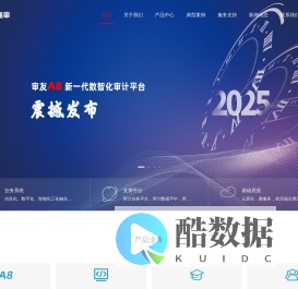 审友数治