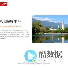 云南跨境数据综合服务平台 | 云南跨境医药有限公司