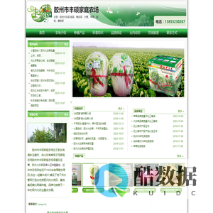 胶州大白菜,有机蔬菜生产基地,无农残蔬菜种植尽在胶州市丰硕家庭农场