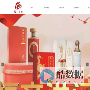 专业信息技术服务 - 全面信息化解决方案与定制化IT服务