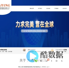 上海力营国际物流有限公司 - 力求完美 营在全球