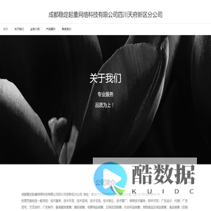 成都稳定起量网络科技有限公司四川天府新区分公司