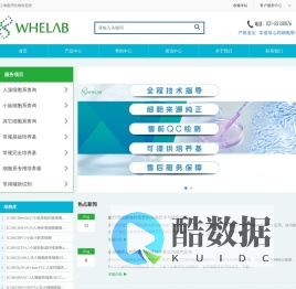 WheLab上海盈湾生物永生化细胞系