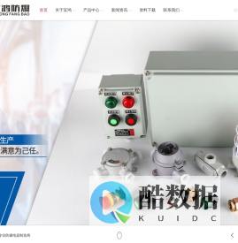 乐清市宜鸿电器有限公司