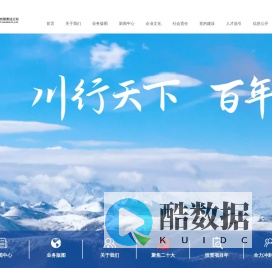 四川发展（控股）有限责任公司