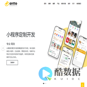 上海小程序开发-上海WordPress网站建设-网站开发-APP开发-定制系统开发 | 安拓网络